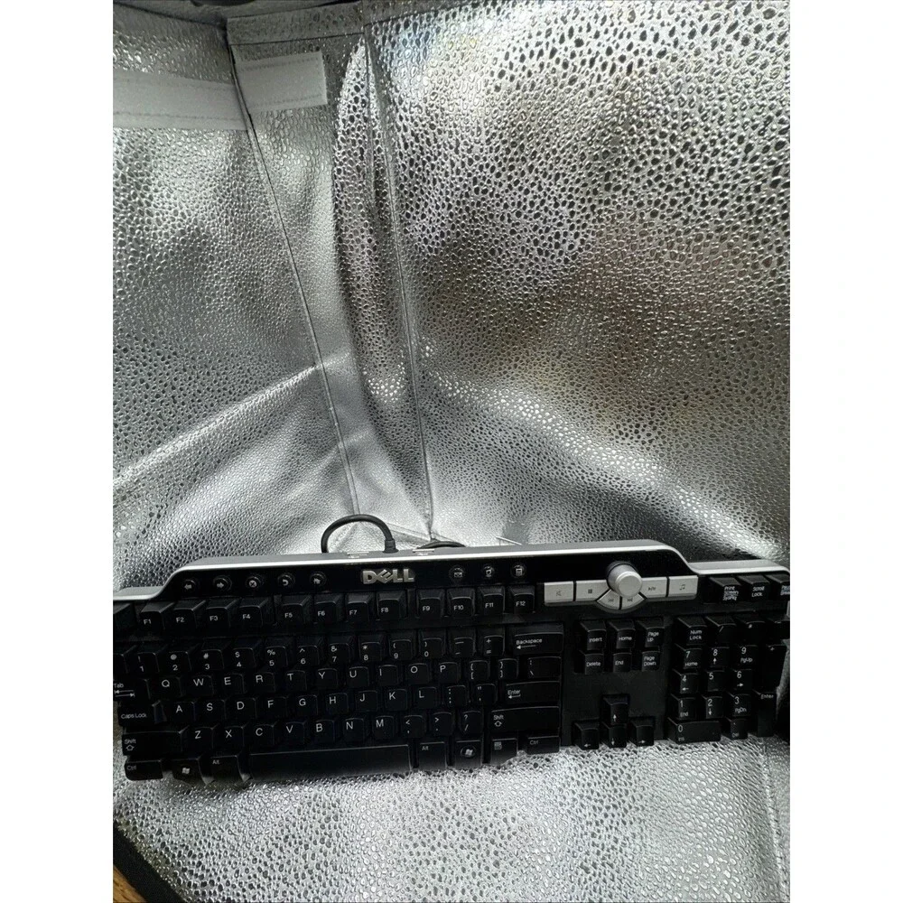 Dell SK-8135 USB Hub Wired Multimedia Keyboard Black Retro Y2K PC Office
